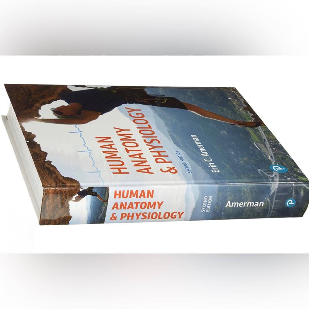 Textbook- Human Anatomy & Physiology. Erin C Amerman, 2nd edition